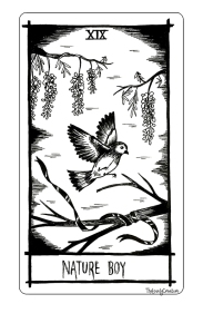 Nick Cave inspired tarot cards